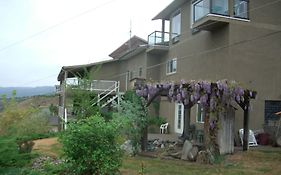 Above The Beach Guest Suites